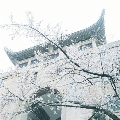冰冻黄色预警：湖北湖南贵州等7省市部分地区有冻雨或冰粒